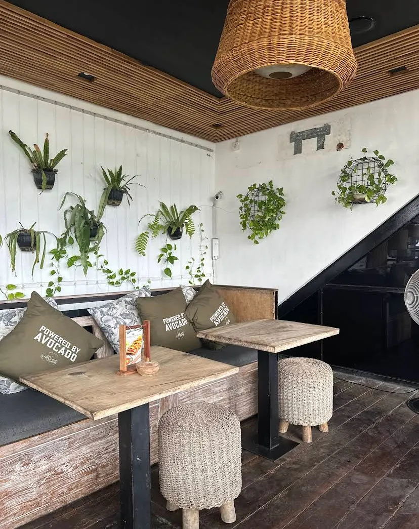 The avocado factory interior
